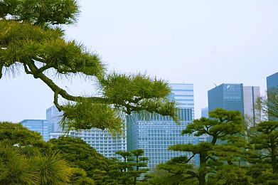 幸福不是故事不幸才是